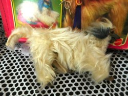 barbie beauty dog side